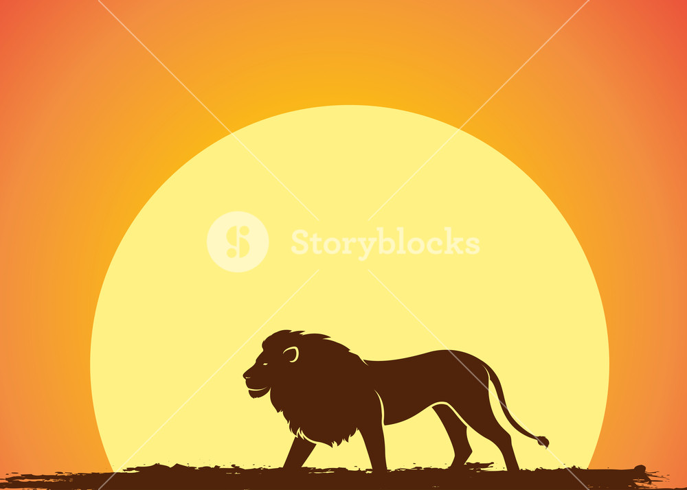 1000x714 Lion Silhouette In Sunset Vector Royalty Free Stock Image