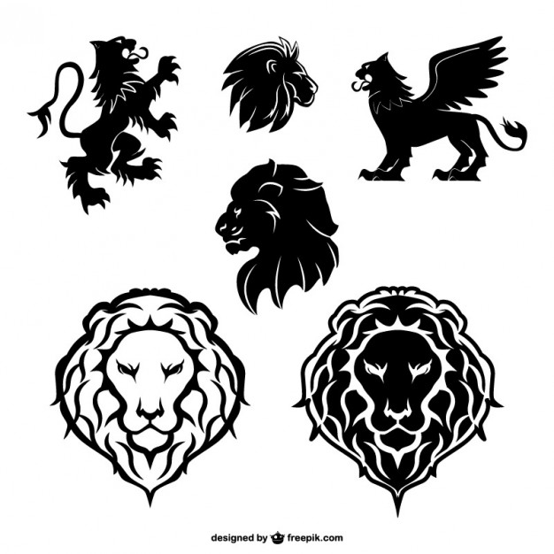 626x626 Lion Vectors, Photos And Free Download