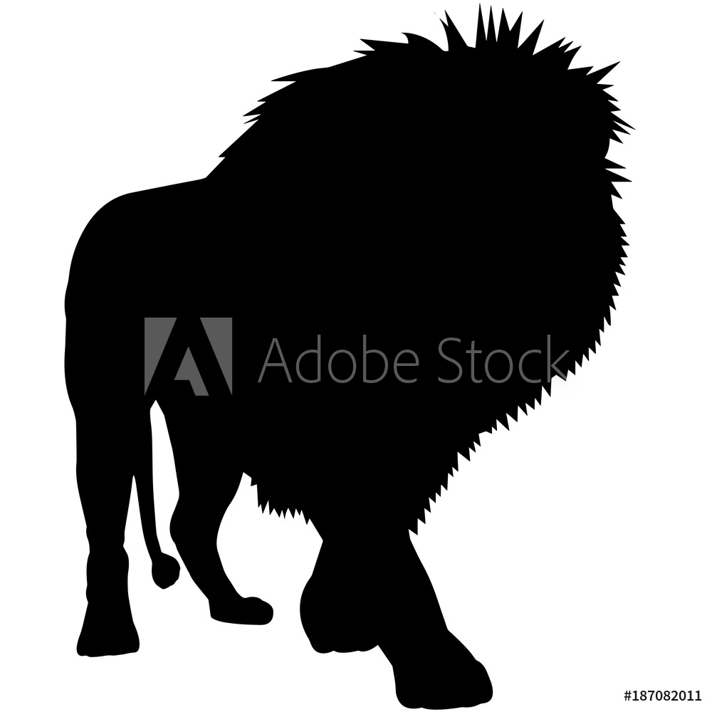 1000x1000 Photo Art Print Lion Silhouette Vector Graphics Europosters