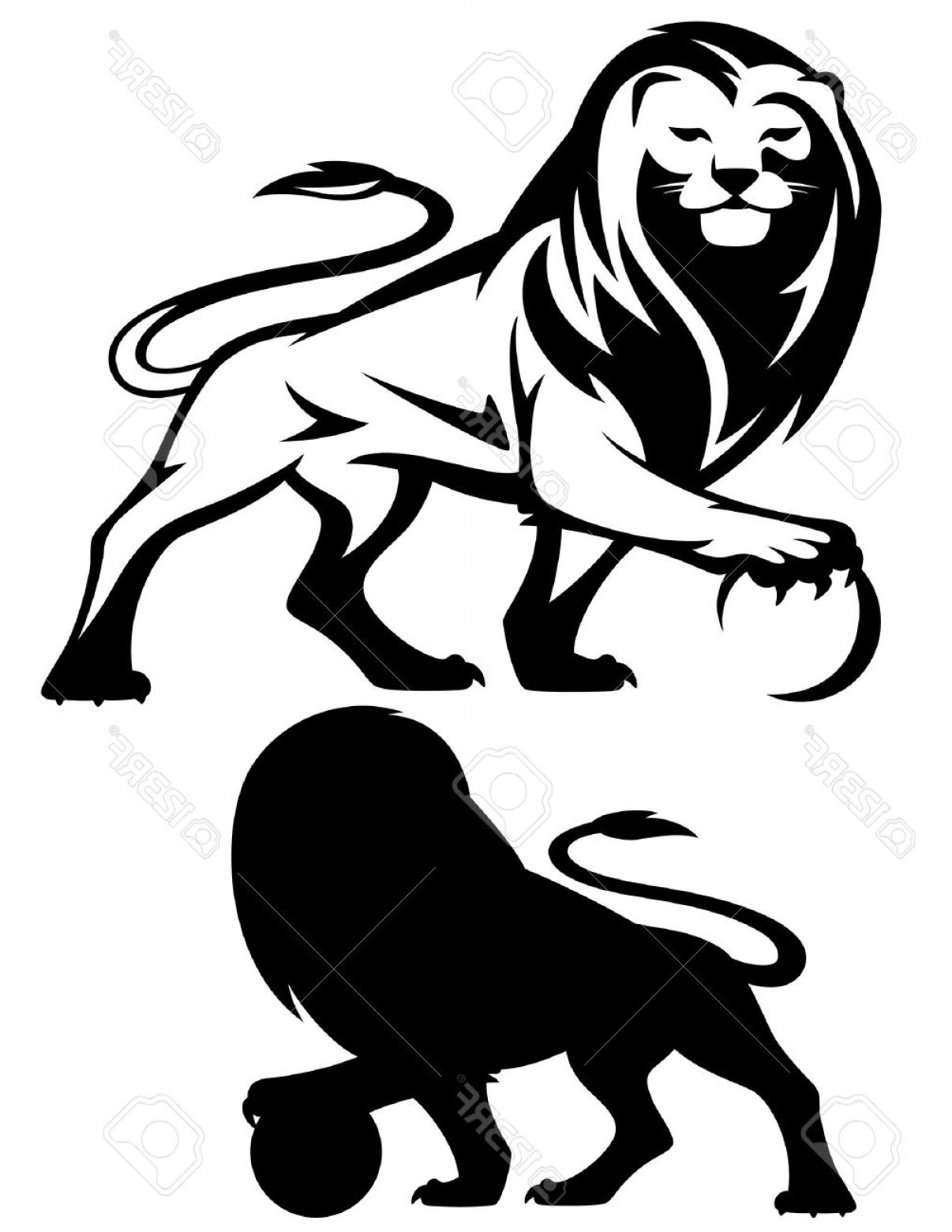 1206x1560 Photolion Holding A Ball Vector Illustration Black And White