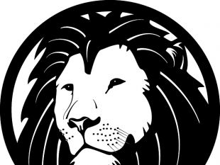 310x233 Lion Illustration Free Vector Free Vectors Ui Download