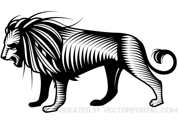 600x425 Lion Vector Graphic Image
