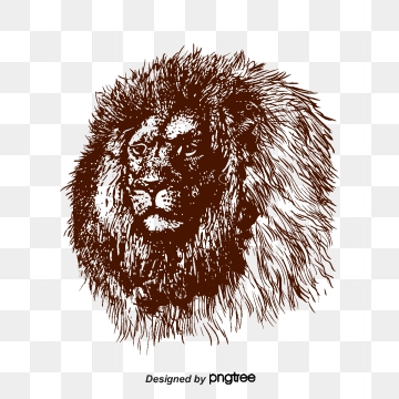 360x360 Lion Vector, Graphic Resources For Free Download