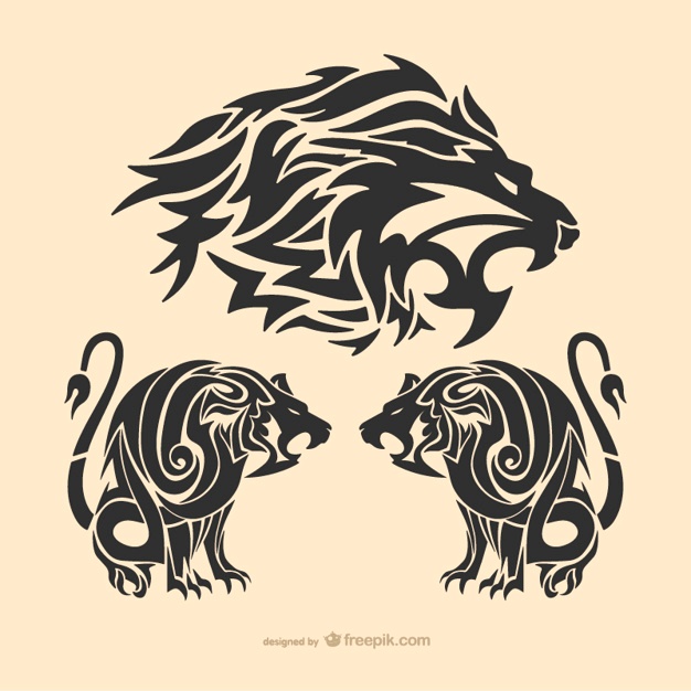 626x626 Lion Vectors, Photos And Free Download