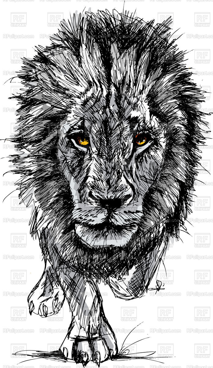 696x1200 Sketch Of A Big African Lion Vector Image Of Plants And Animals