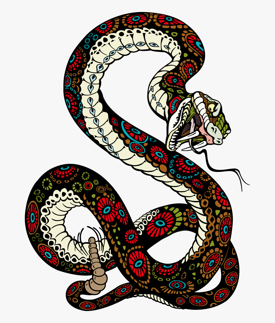 920x1080 Tiger Lion Vector Snake Illustration Free Transparent