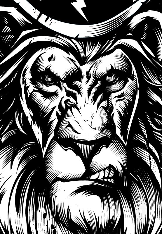 More Vector Art For Clothing Brands Behance Lion Vector, Lion 555x800 More Vector Art For Clothing Brands Behance Lion Vector, Lion