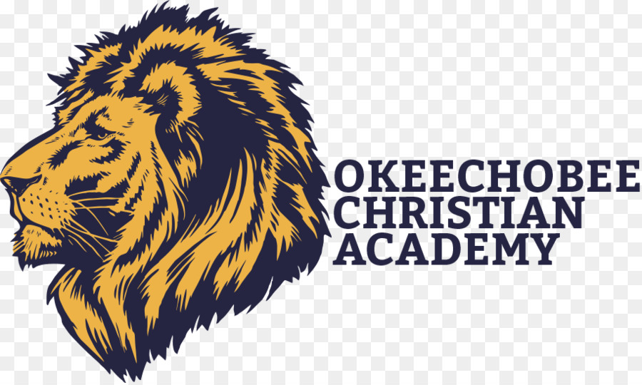 900x540 Lion Drawing