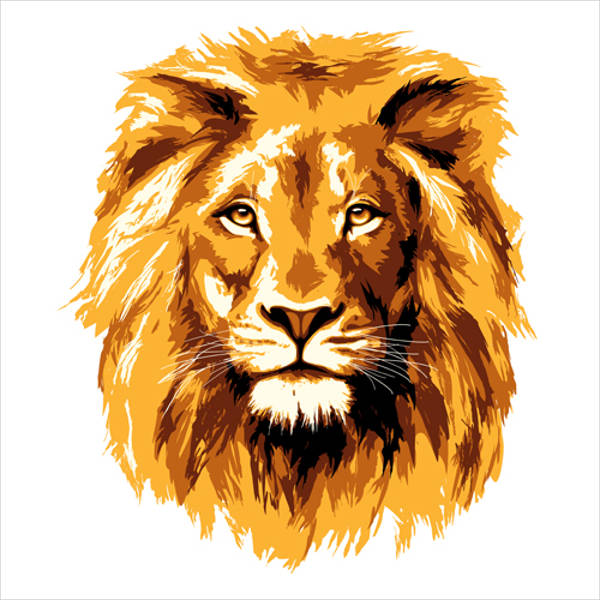600x600 Lion Vectors