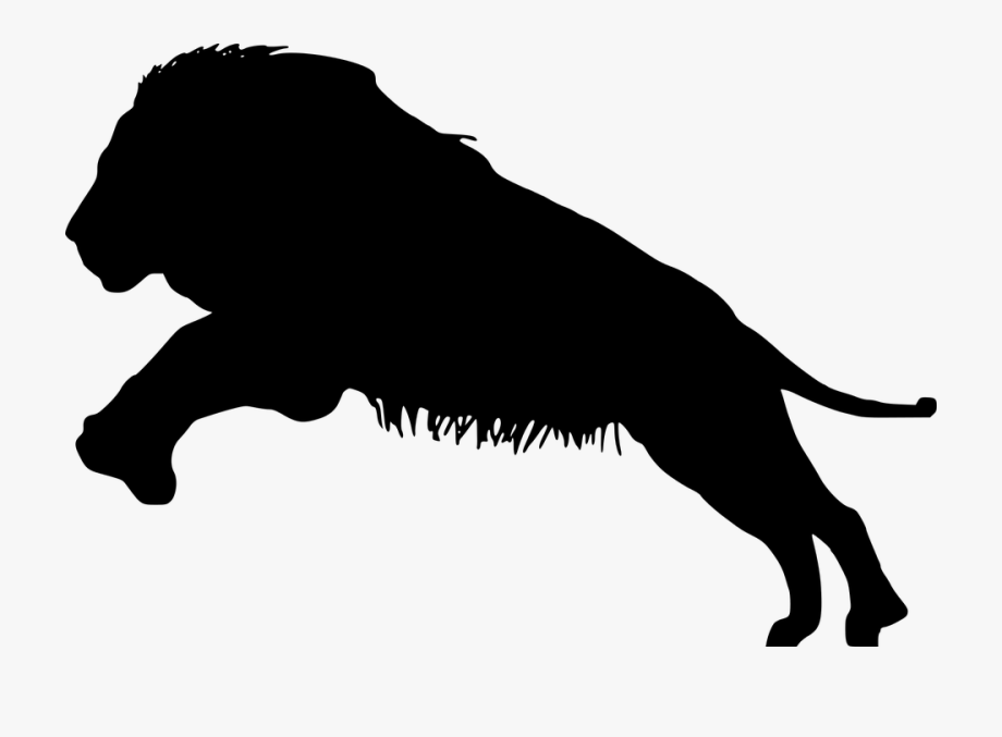 920x677 Lions Vector Eyes