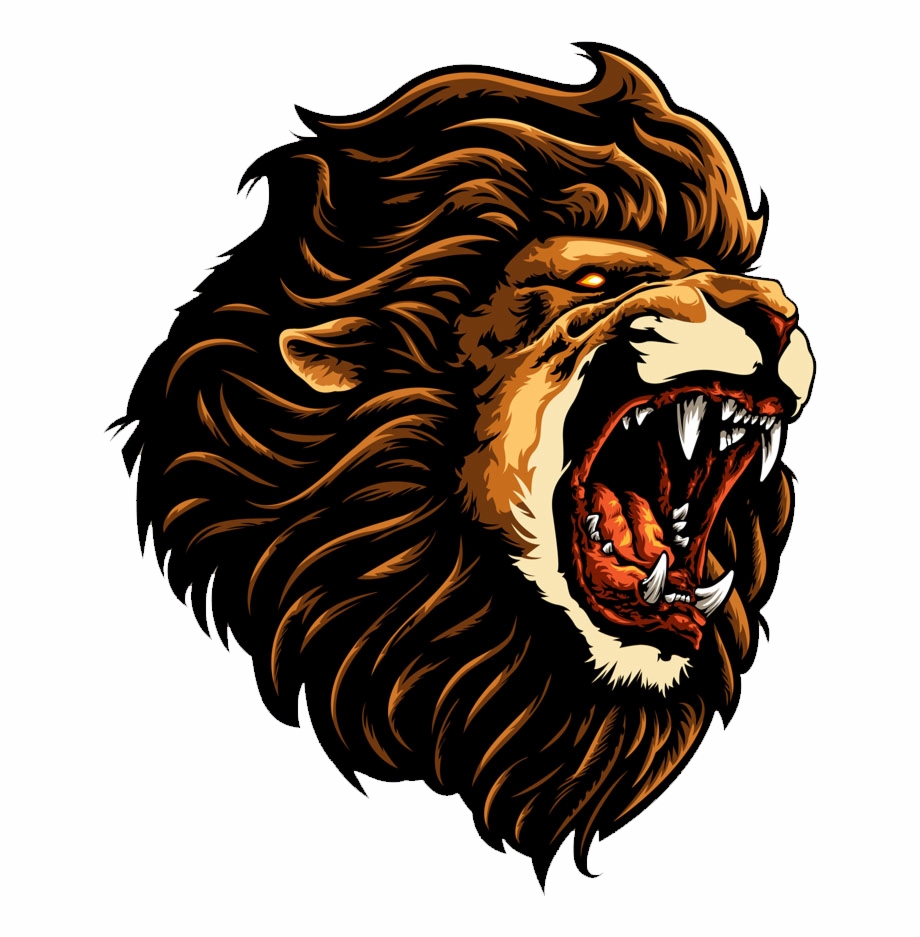 920x937 Roar Clipart Transparent