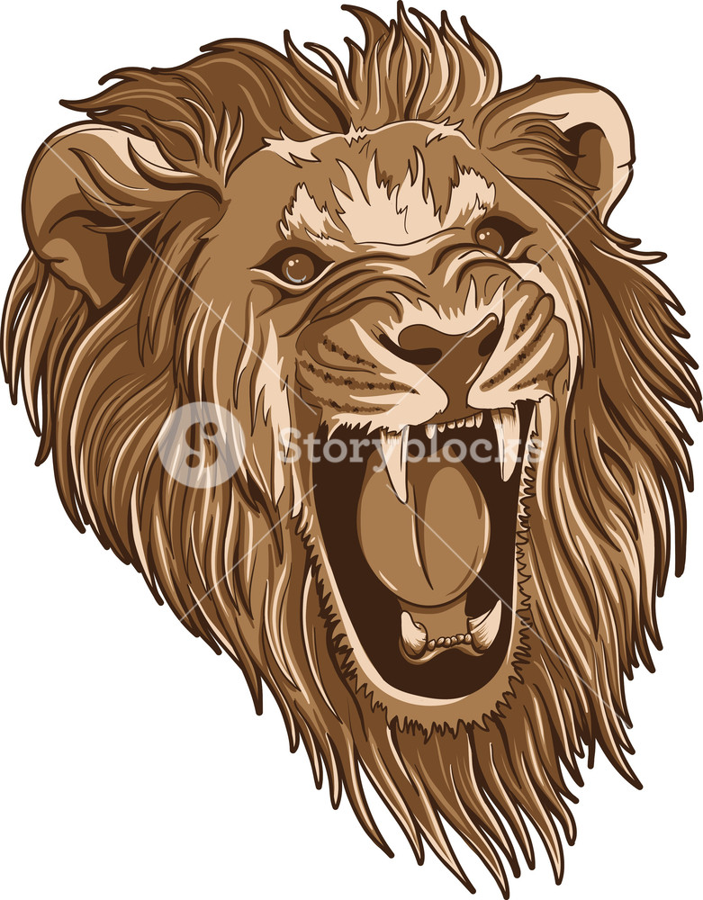 781x1000 Vector Lion Royalty Free Stock Image