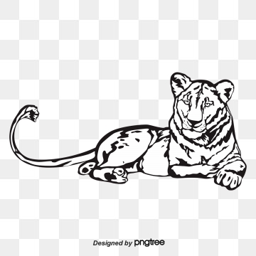 360x360 Lioness Png, Vector, And Clipart With Transparent Background