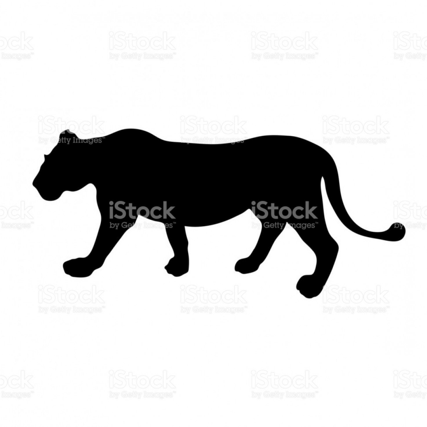 1473x1473 Lioness Vector Catchsplace