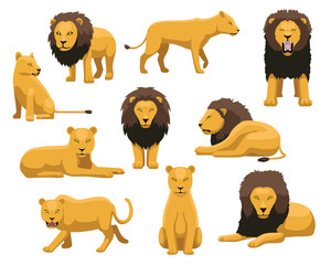 300x240 Lioness Vector Photos, Royalty Free Images, Graphics, Vectors
