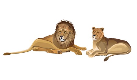 Free Free 96 Lion And Lioness Svg SVG PNG EPS DXF File