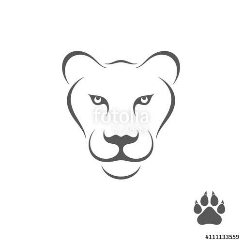 500x500 Lioness With Paw Print Stock Image And Royalty Free Vector