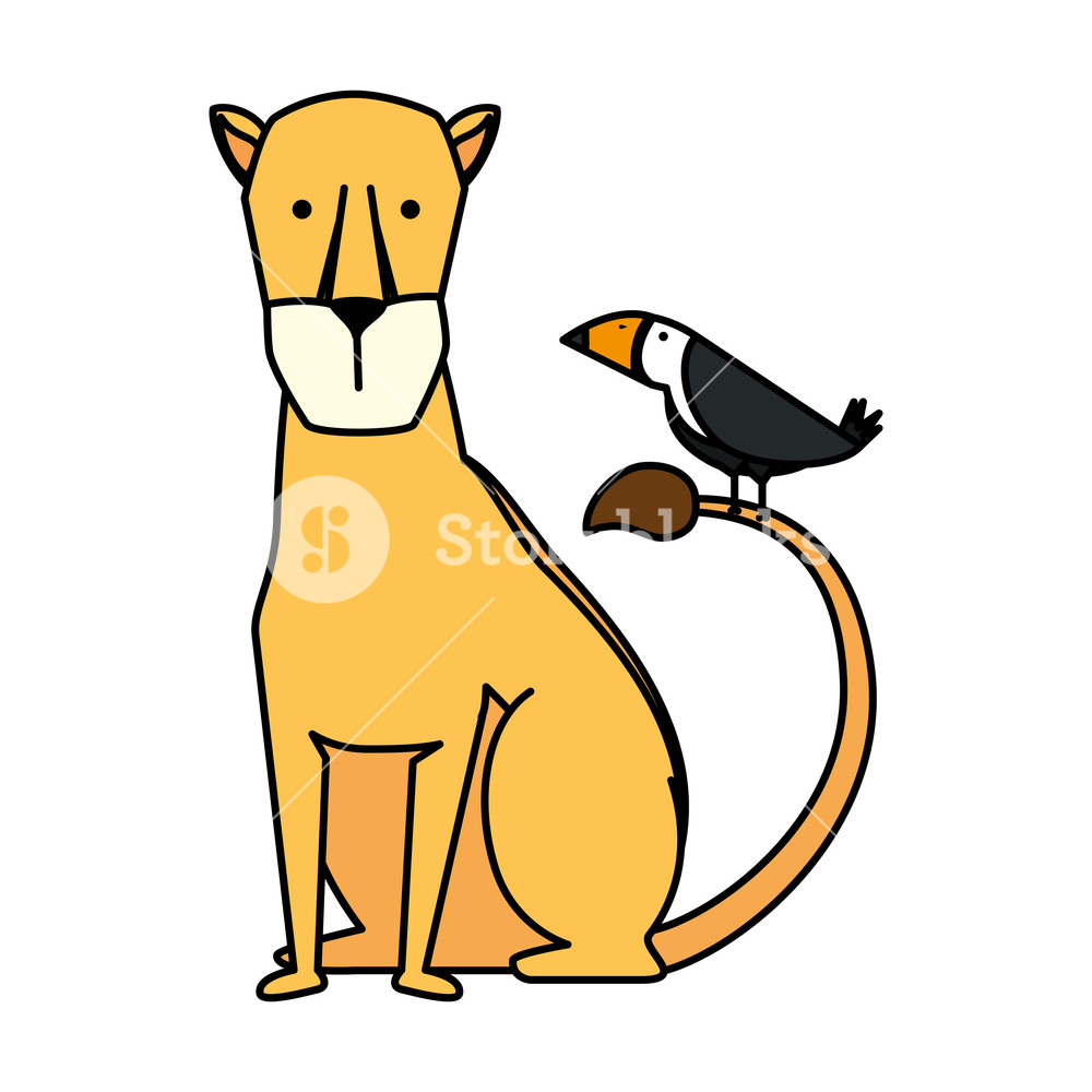 1000x1000 African Lioness Wild Animal Vector Illustration Design Royalty