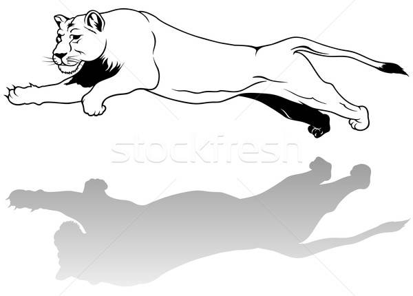 600x430 Jumping Lioness Vector Illustration Roman Dekan