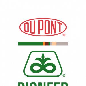 300x300 Ortjthlions Club Logo Vector Lions Club International