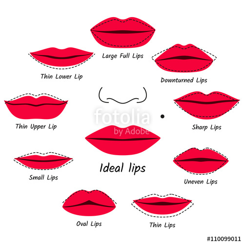 Corrective Makeup For Lips Vector Illustration Stock Image 500x500 Corrective Makeup For Lips Vector Illustration Stock Image