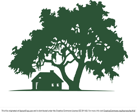 Live Oak Tree Vector Images Free Vector Download 450x368 Live Oak Tree Vector Images Free Vector Download