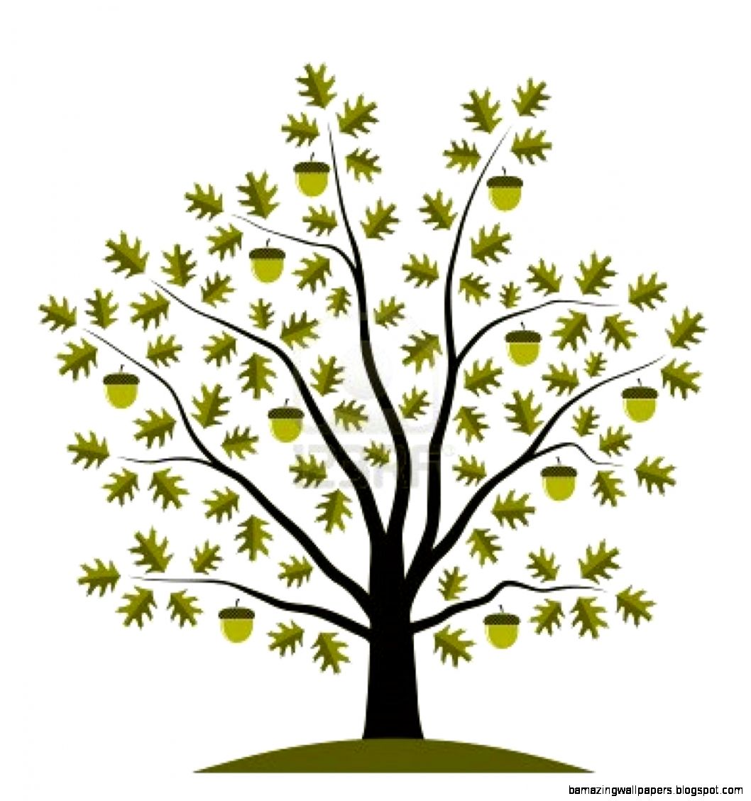 Live Oak Vector at Vectorified.com | Collection of Live Oak Vector free