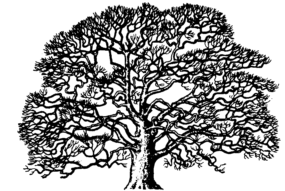 Oaktree Clipart Clip Art For Free Download And Use Images 957x641 Oaktree Clipart Clip Art For Free Download And Use Images