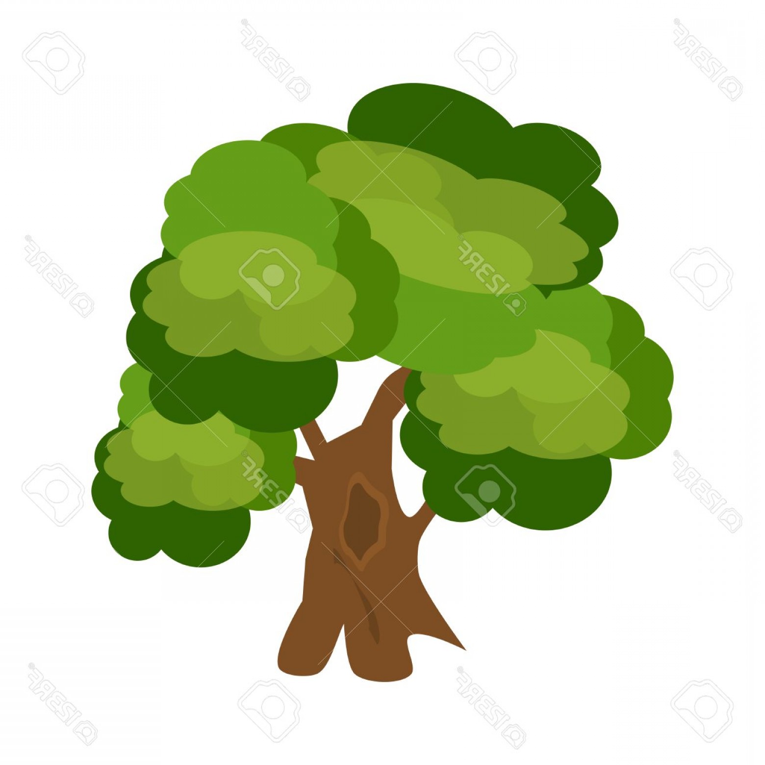 Photostock Vector Tree Nature Green Vector Green Tree Branch 1560x1560 Photostock Vector Tree Nature Green Vector Green Tree Branch