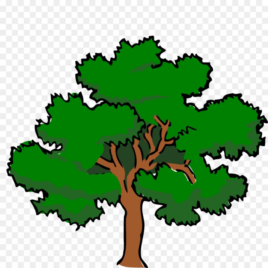 Png Clip Art Vector Graphics Southern Live Oak Portabl Handandbeak 1080x1080 Png Clip Art Vector Graphics Southern Live Oak Portabl Handandbeak