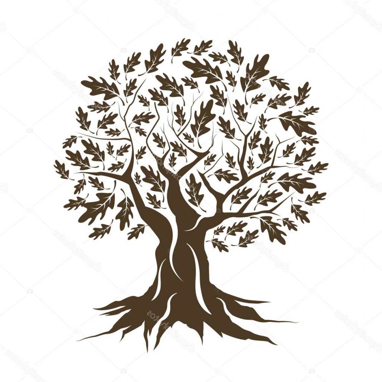 Stock Illustration Beautiful Brown Oak Tree Silhouette Soidergi 1228x1228 Stock Illustration Beautiful Brown Oak Tree Silhouette Soidergi