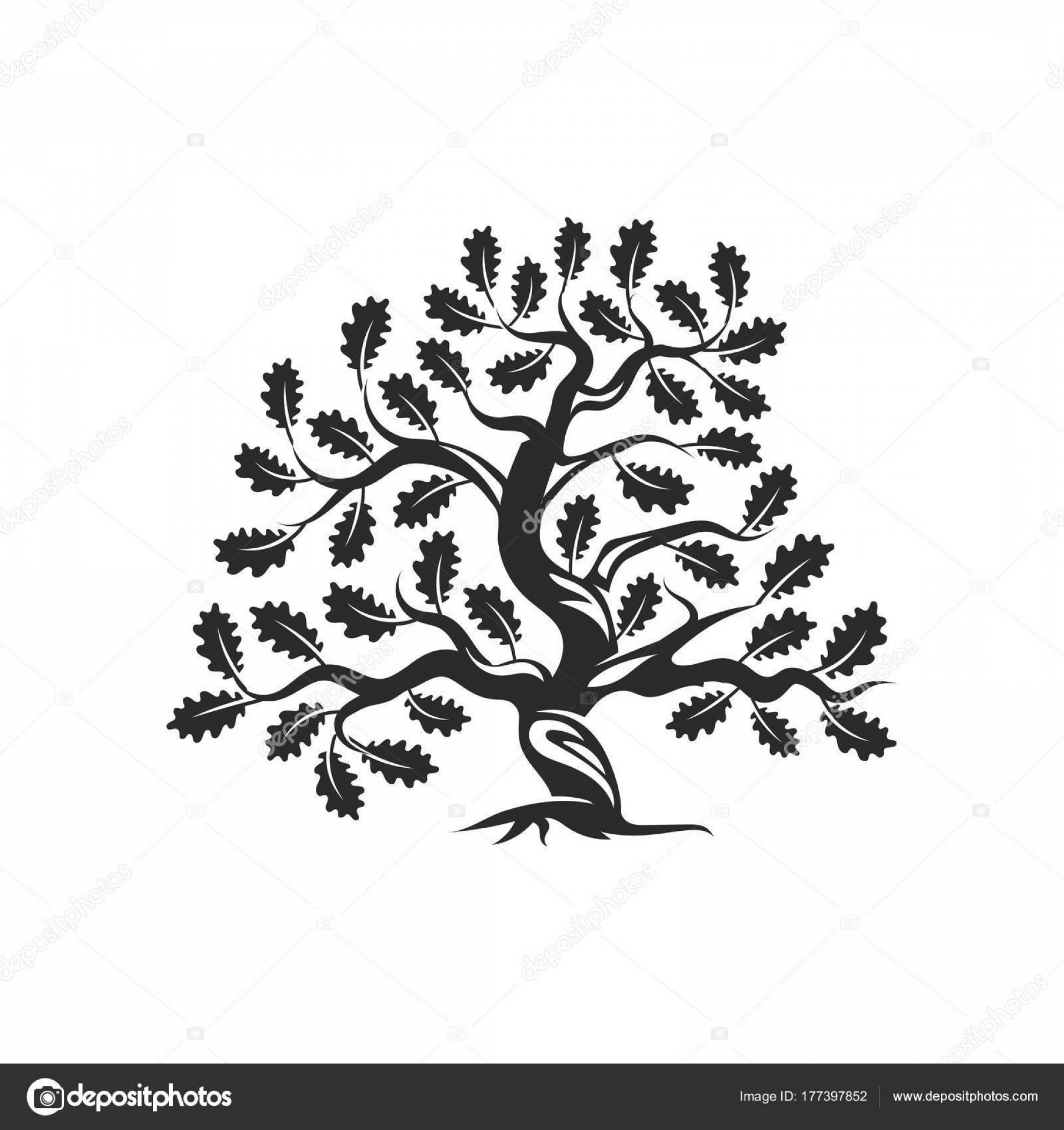 Stock Illustration Huge And Sacred Oak Tree Handandbeak 2304x2448 Stock Illustration Huge And Sacred Oak Tree Handandbeak