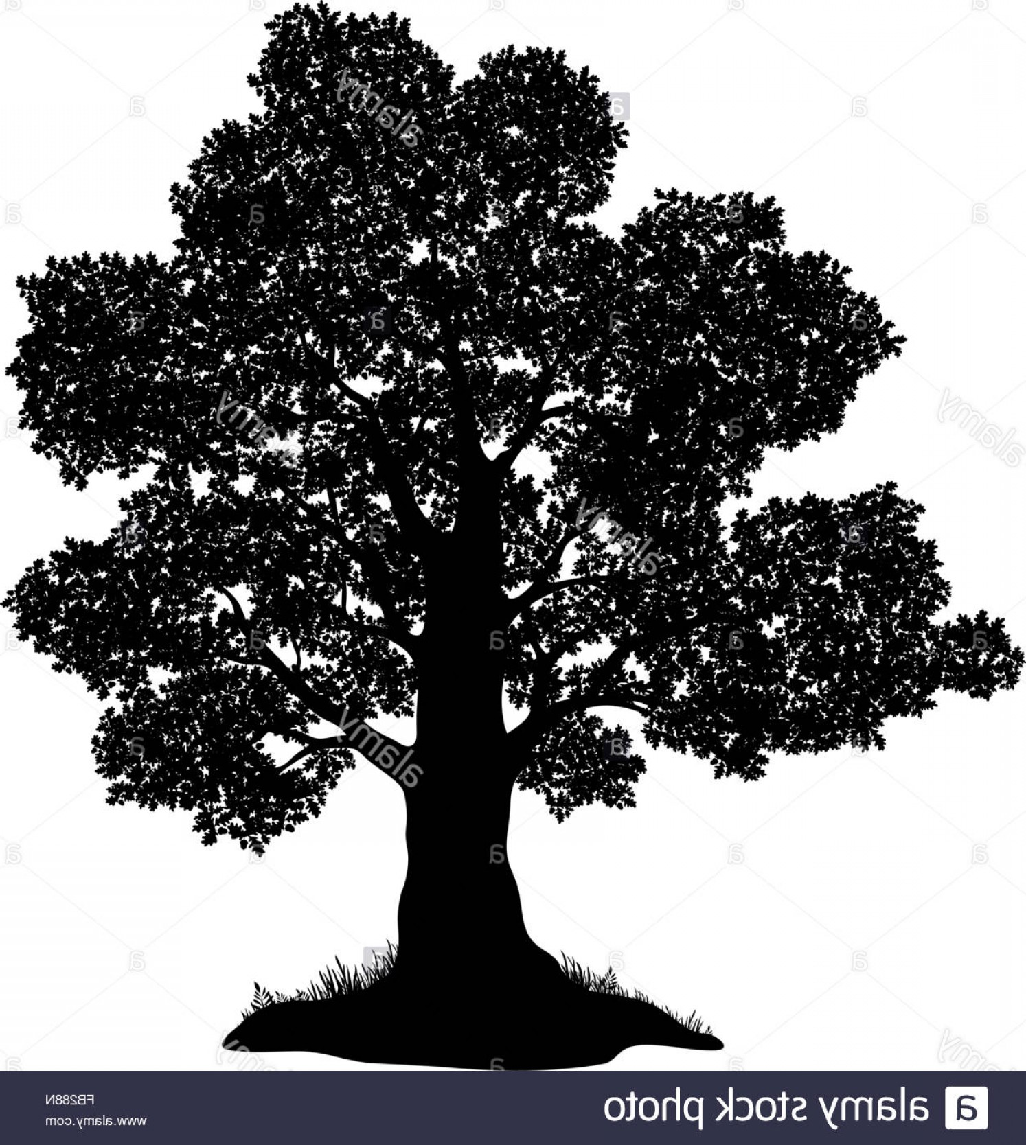 Stock Photo Oak Tree And Grass Silhouette Handandbeak 1494x1668 Stock Photo Oak Tree And Grass Silhouette Handandbeak