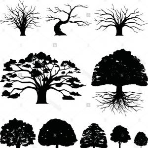 Stock Vector Vector Silhouette Oak Tree Cqrecords 300x300 Stock Vector Vector Silhouette Oak Tree Cqrecords