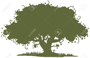 Live Oak Clipart Free Images 300x195 Live Oak Clipart Free Images