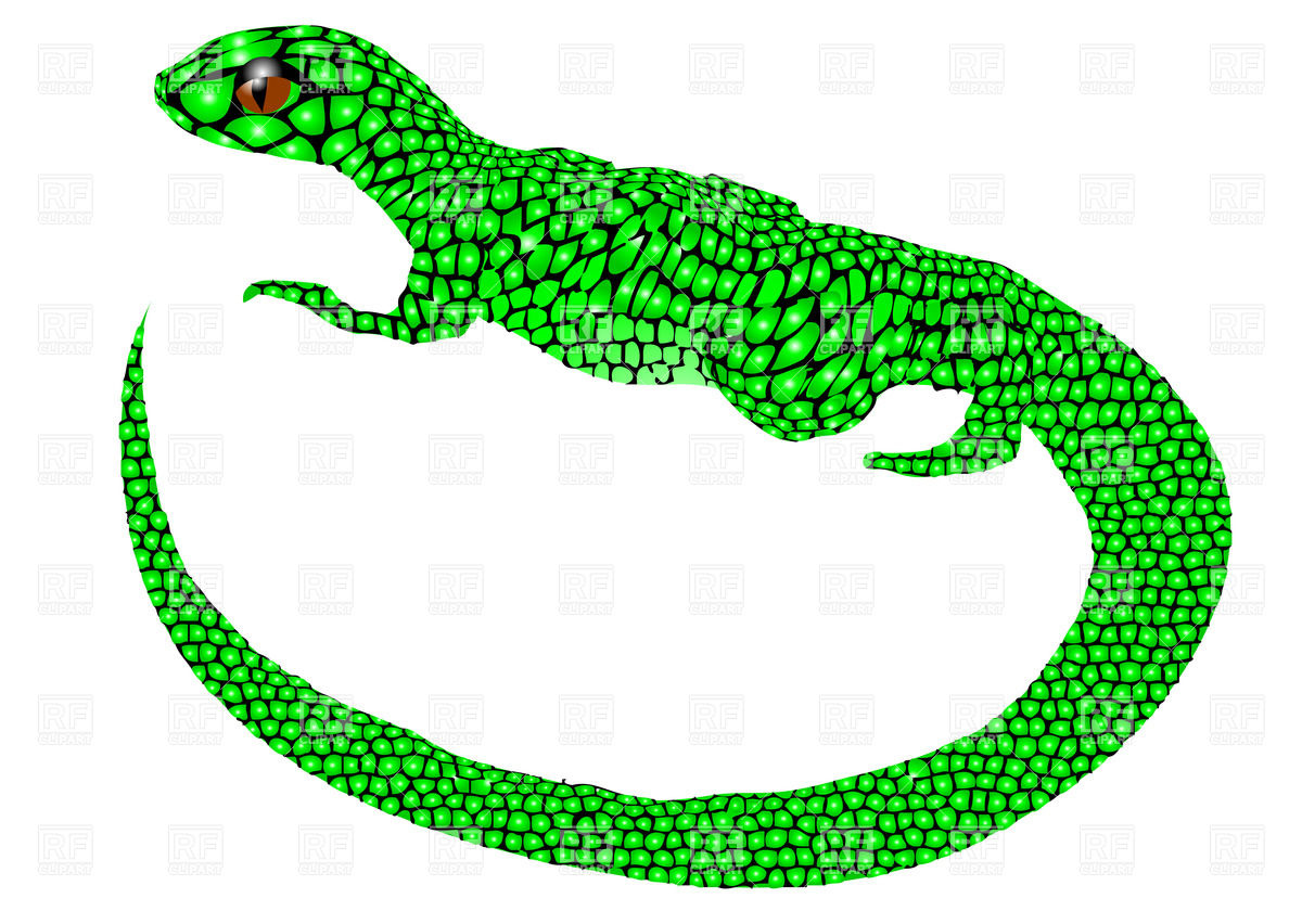 Lizard Vector