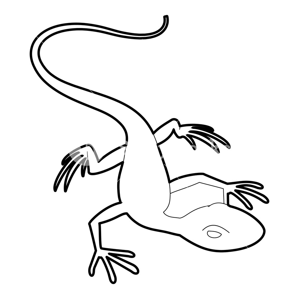 1000x1000 Little Lizard Icon Outline Illustration Of Little Lizard Vector