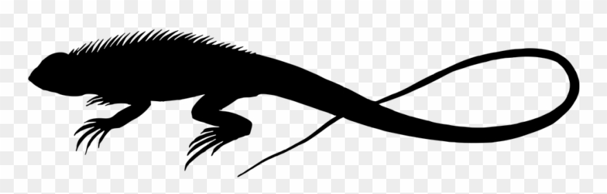 880x282 Lizard Vector Clipart