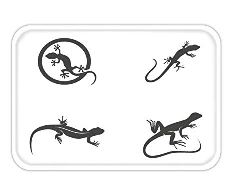 466x389 Beshowere Doormat Lizard Vector Illustration Logo