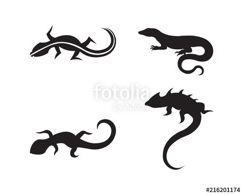 500x400 Lizard Vector, Design, Animal, And Reptile, Gecko Stock Image