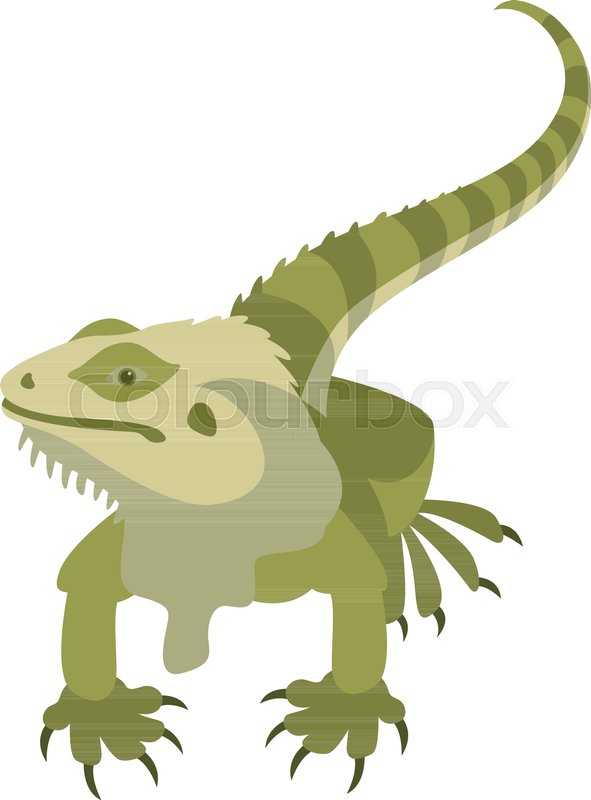 591x800 Lizard Vector Illustration Style Flat Stock Vector Colourbox
