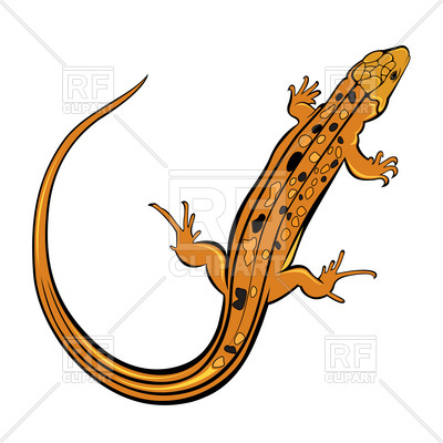 400x400 Orange Gecko Lizard Vector Image Of Plants And Animals Dvarg