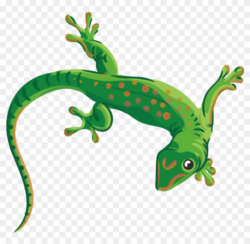 840x821 Collection Of Free Lizard Vector Reptile