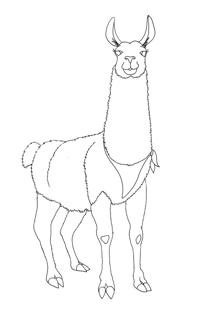 Llama Face Vector