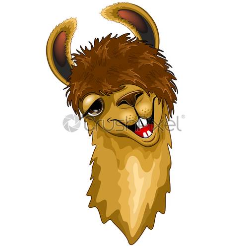 Llama Face Vector at Vectorified.com | Collection of Llama Face Vector ...