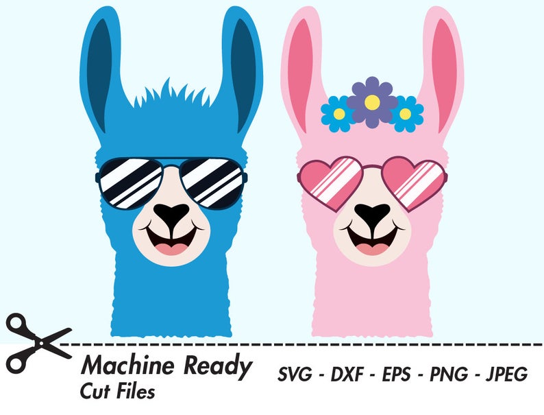 794x605 Cute Llama Png Llamas Clipart Farmhouse Clip Etsy