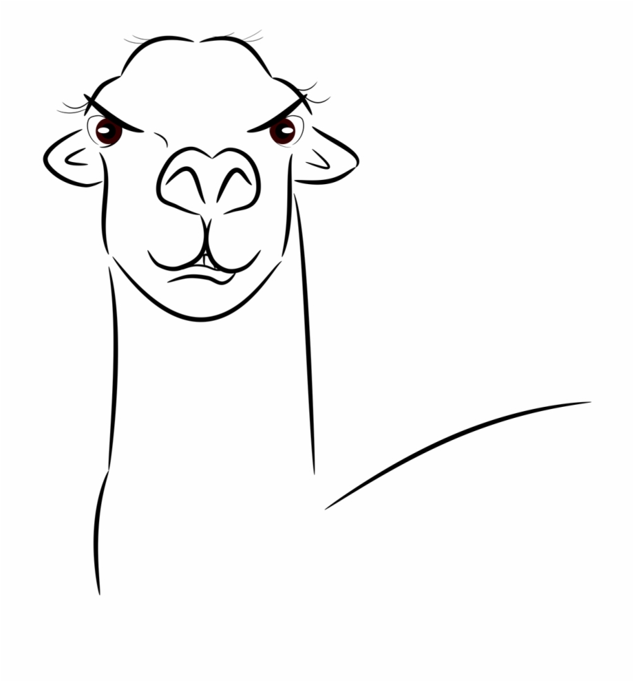 920x989 Llama Head Face Free Picture
