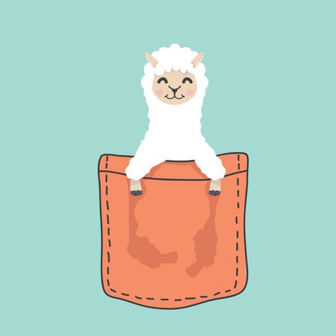 490x490 Llama Alpaca Face Head Inside The Pocket Vector