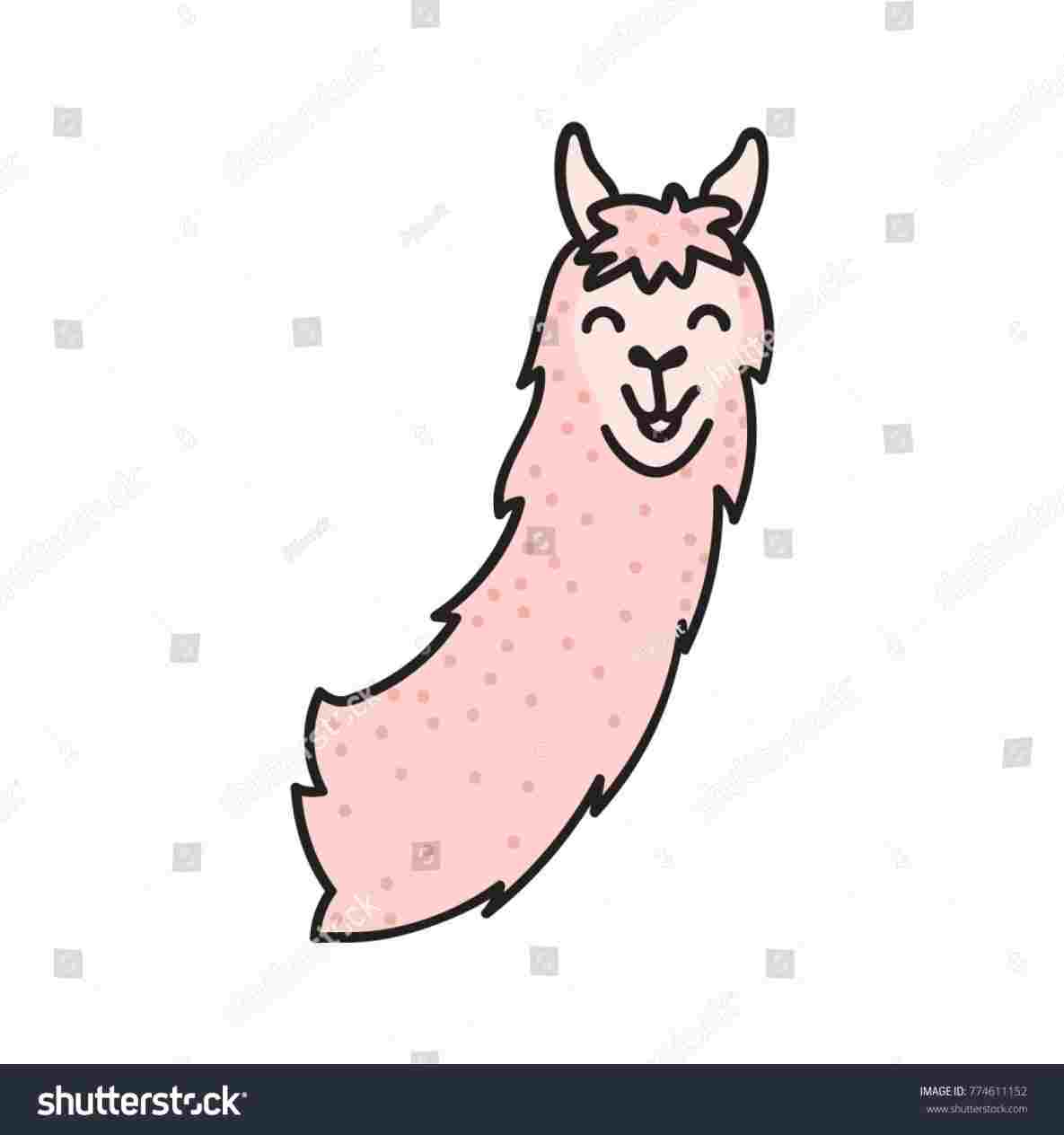 1185x1264 Vector Llama Face Drawing Illustration Cute South America Lama