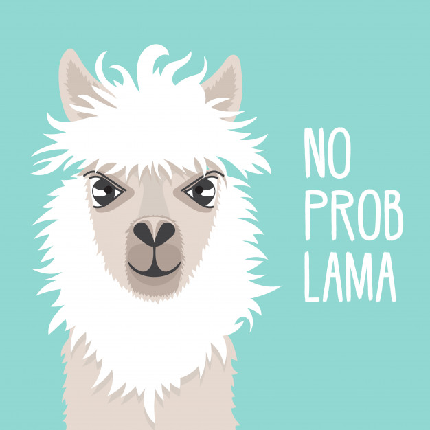 626x626 Cute Lama On A Mint Background Llama Face Text No Prob Lama